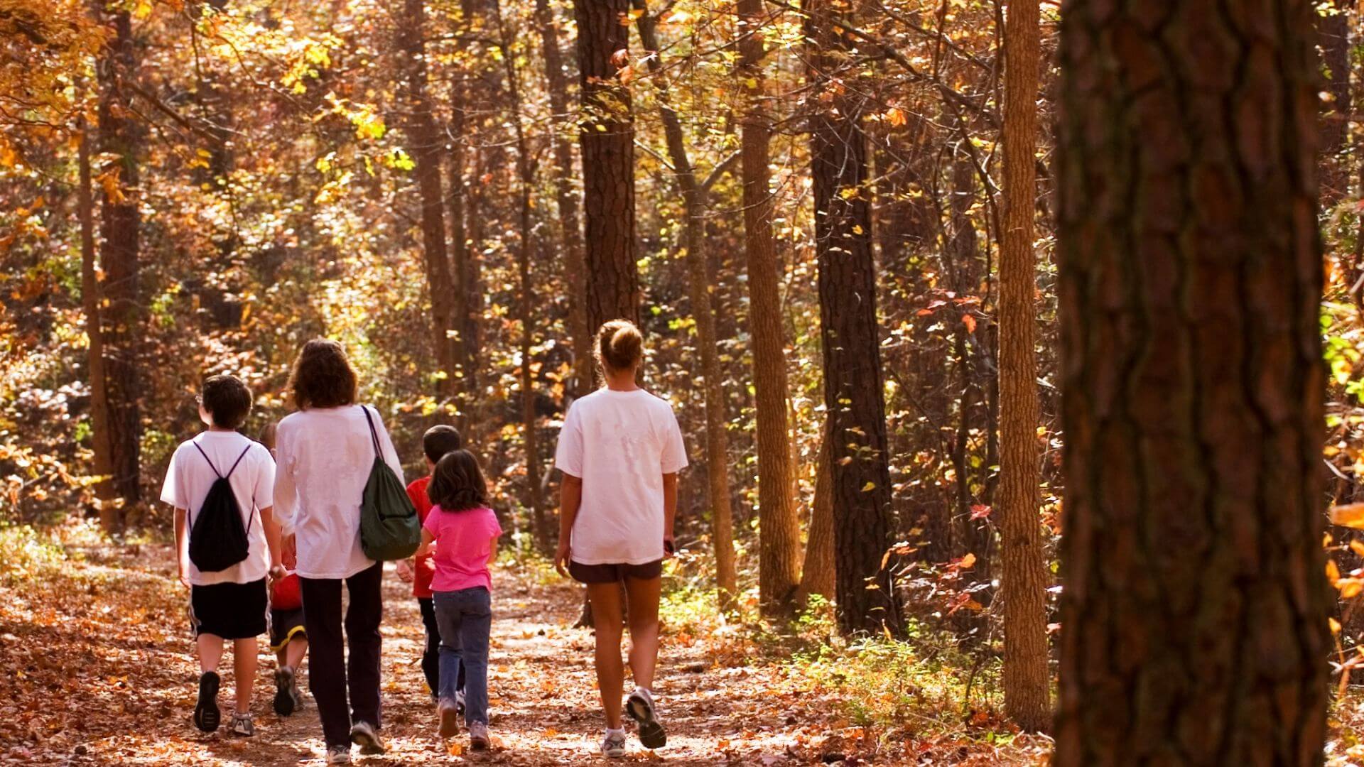 Eine Gruppe Erwachsener und Kinder geht im Wald spazieren.