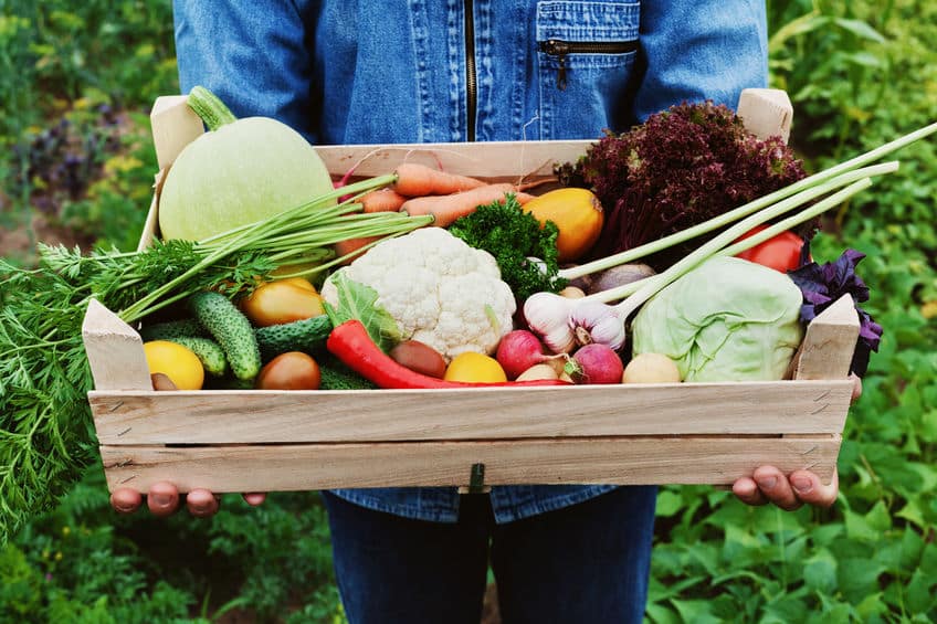 Ein Mann trägt eine große Holzkiste voller frischem Gemüse, wie z.b. Kohl, Kürbis, Möhren, Gurken, Salat, Blumenkohl, Radieschen und Paprika.