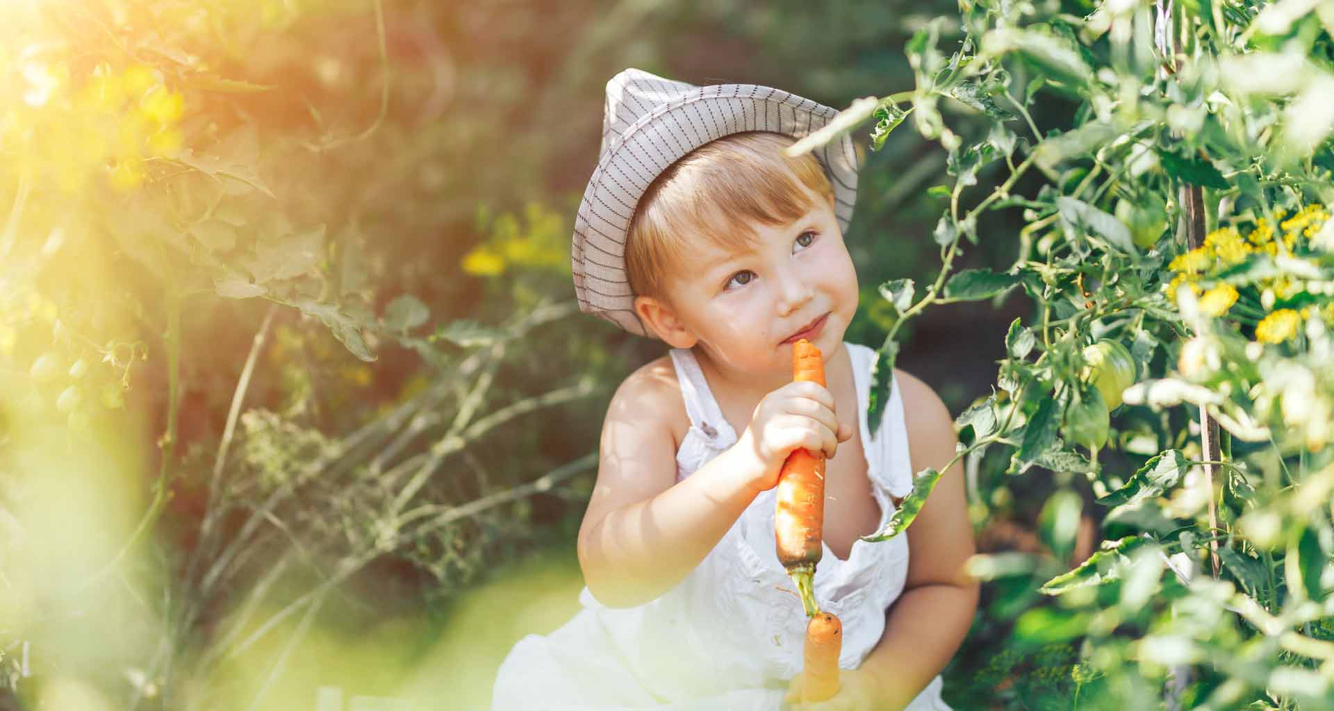 Kleiner Junge mit Hut sitzt in der Natur und hat eine frisch geerntete Möhre in der Hand.